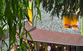 Pensiunea Izvoare Olanesti 3***