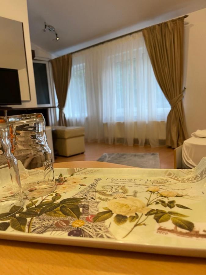 Pensiunea Izvoare Olanesti 3*** Băile Olăneşti Exterior foto