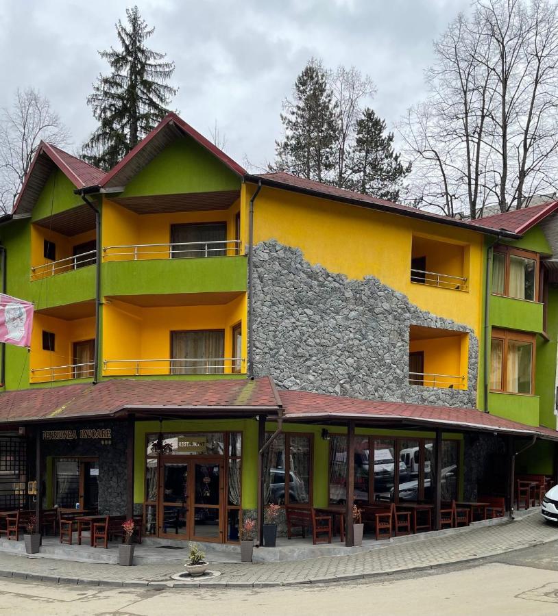 Pensiunea Izvoare Olanesti 3*** Băile Olăneşti Exterior foto