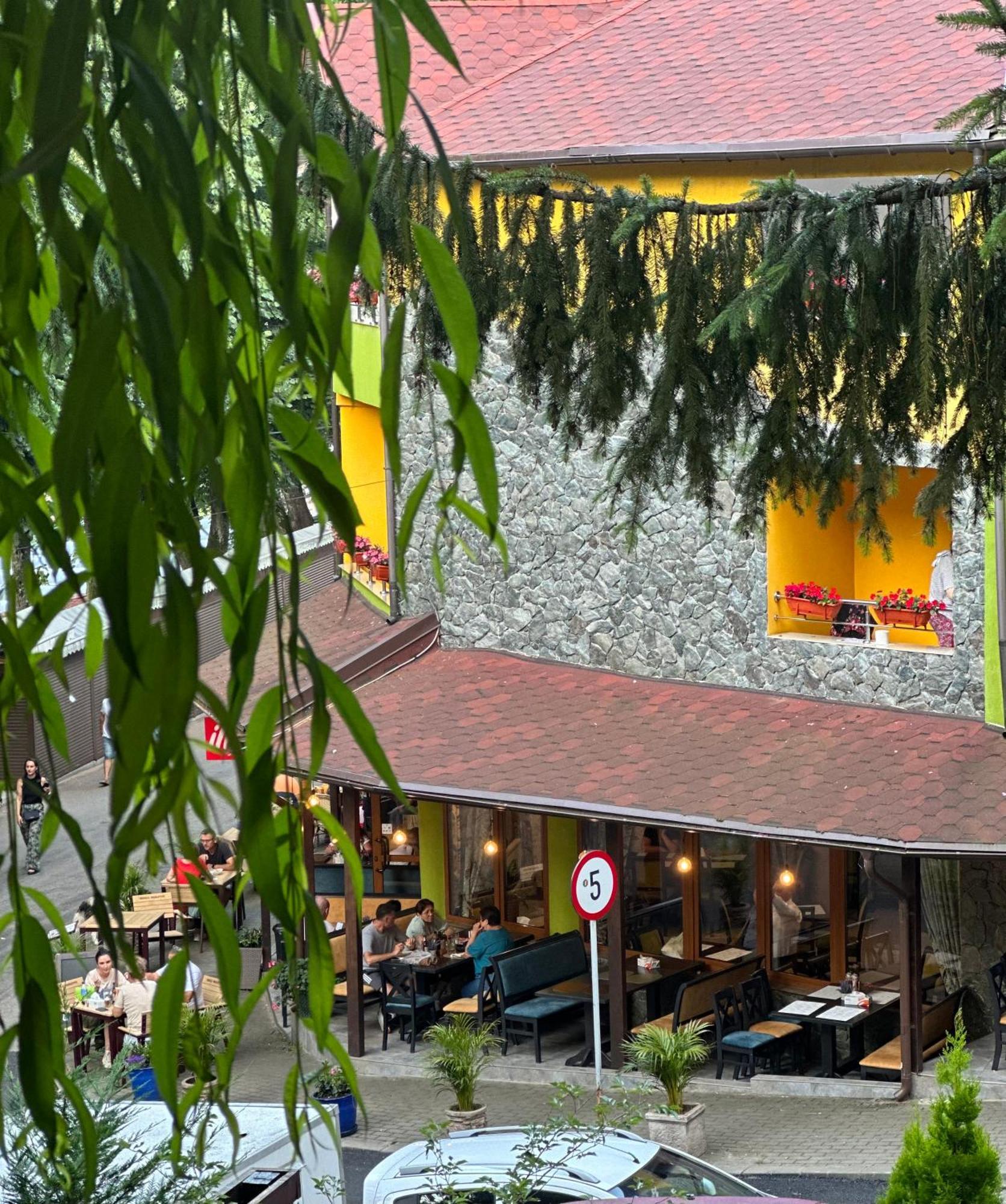 Pensiunea Izvoare Olanesti 3*** Băile Olăneşti Exterior foto